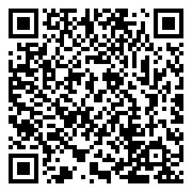 勇闯都市中文版下载二维码