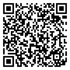 勇闯都市中文版下载二维码