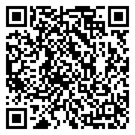 机场模拟器ios版下载二维码